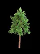 mimari-maket-diorama-minyatur-agac-yesil