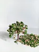 minyatur-maket-agac-8-cm---2li-paket-yesil