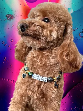 Kedi Köpek Charmlı İsimli Yılbaşı Özel Kolyeler Siyah