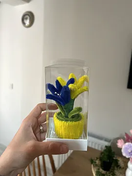 Fenerbahçe Taraftar Saksı Çiçeği 