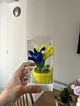 fenerbahce-taraftar-saksi-cicegi
