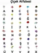 sonil-cicek-alfabesi-ile-kisiye-ozel-tasarim-cok-renkli