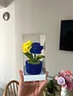 fenerbahce-taraftar-saksi-cicegi-sari