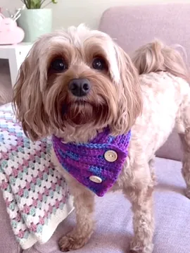 Köpek Kıyafeti Taba