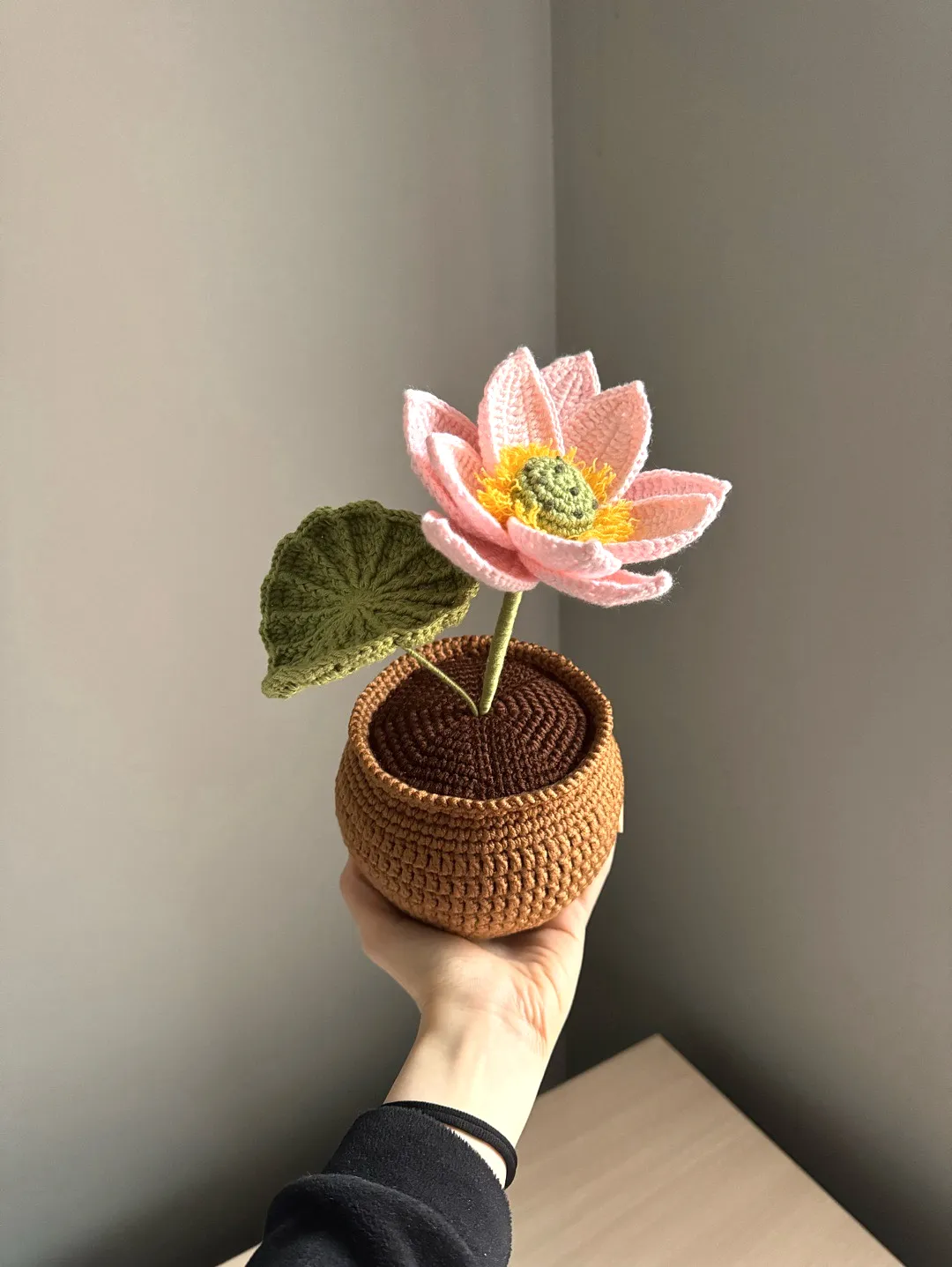 orgu-saksida-dev-lotus-pastel-pembe