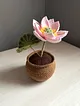 orgu-saksida-dev-lotus-pastel-pembe