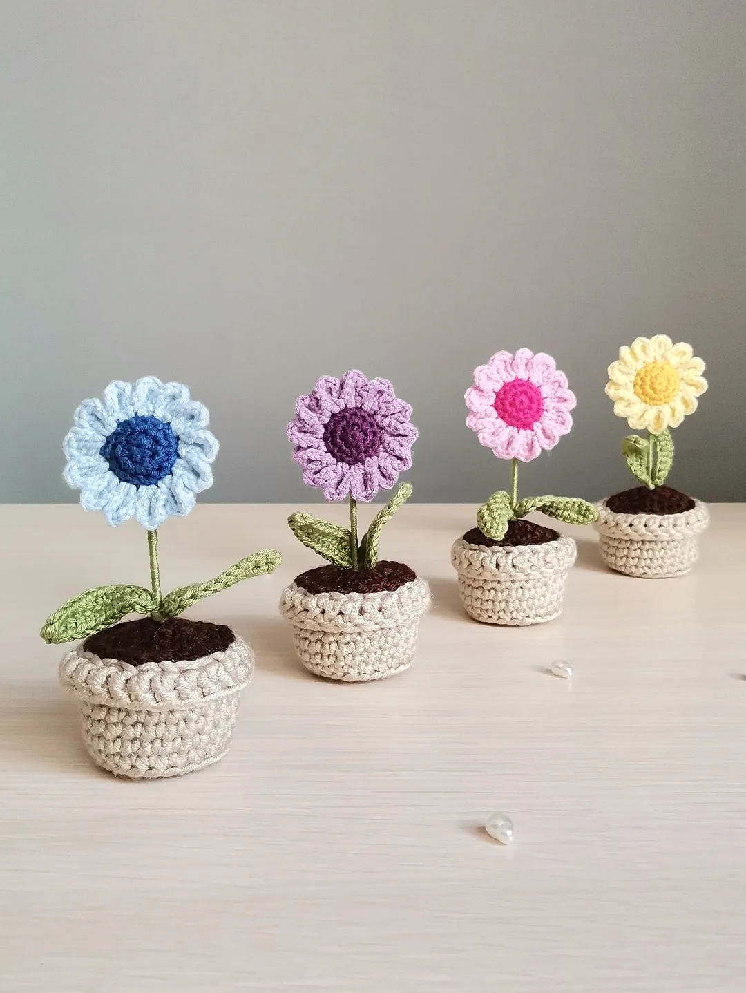 mini-renkli-papatya-saksi-cicegi-mor