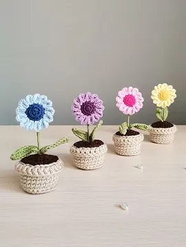 Mini Renkli Papatya Saksı Çiçeği Mor