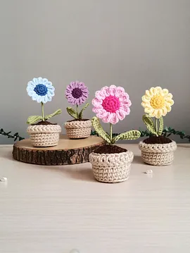 Mini Renkli Papatya Saksı Çiçeği Pembe