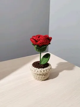Mini Saksı Gül Kırmızı