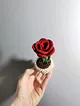 mini-saksi-gul-kirmizi