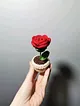 mini-saksi-gul-kirmizi