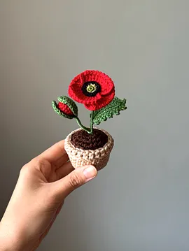 Mini Saksıda Gelincik Kırmızı