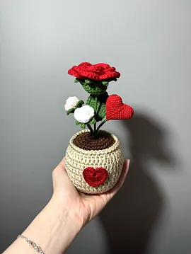 Saksıda Gül İki Minik Gül İle  Kırmızı