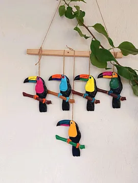 Tukan Kuşu 5li Set