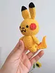 pikacu-sari