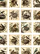 vintage-birds-sticker-cikartma-kahverengi