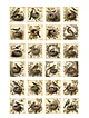 vintage-birds-sticker-cikartma-kahverengi