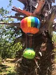 su-kabagi-sepetli-ucan-balon-cok-renkli