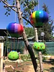 su-kabagi-sepetli-ucan-balon-cok-renkli