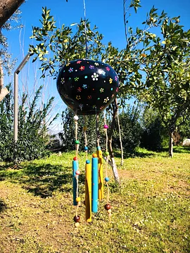 Siyah Çicekli Uçan Balon Su Kabağı Siyah