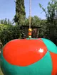 su-kabagi-sepetli-ucan-balon-turuncu