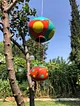 su-kabagi-sepetli-ucan-balon-turuncu