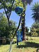 su-kabagi-ucan-balon-ruzgar-cani-acik-mavi
