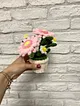 gerbera-ve-papatya-minik-saksi-cicegi-pastel-pembe