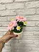 gerbera-ve-papatya-minik-saksi-cicegi-pastel-pembe