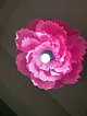 italyan-krapon-kagidindan-avize-pembe-asagi-kivrimli