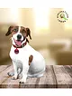 kedi-ve-kopek-epoksi-madalyon-kunye-isimlik-karekodlu-beyaz