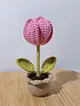 mini-saksi-surpriz-lale-pembe