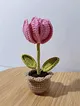 mini-saksi-surpriz-lale-pembe