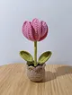 mini-saksi-surpriz-lale-pembe