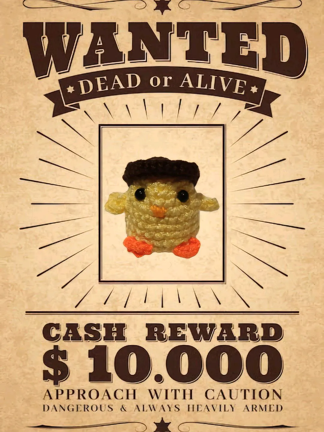 wanted-chick-sari