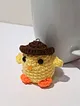 wanted-chick-sari