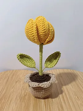 Mini Saksı Sürpriz Lale Sarı