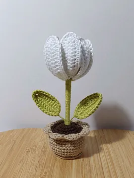 Mini Saksı Sürpriz Lale Beyaz