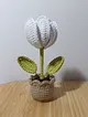 mini-saksi-surpriz-lale-beyaz