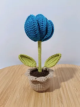 Mini Saksı Sürpriz Lale Koyu Mavi