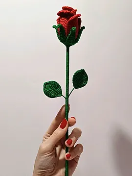Orta Boy Çanak Kırmızı Gül