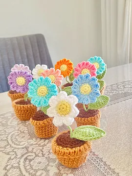 Papatya Mini Saksı Mavi