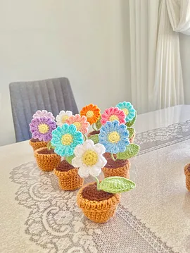 Papatya Mini Saksı Pastel Pembe