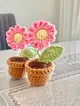 papatya-mini-saksi-pastel-pembe
