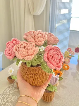 Gül Büyük Saksı Çiçek 6lı  Pembe