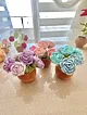 gul-buyuk-saksi-cicek-6li-pembe
