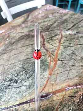 Uğur Böceği Tasarım Cam Pipetler Çok Renkli