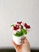solmayan-dekoratif-mini-saksili-sonil-el-orgusu-cicek-karanfil-pembesi