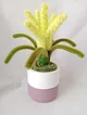 solmayan-dekoratif-mini-saksili-lavanta-cok-renkli